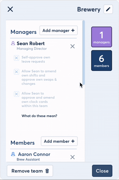 Team manager permissions modal
